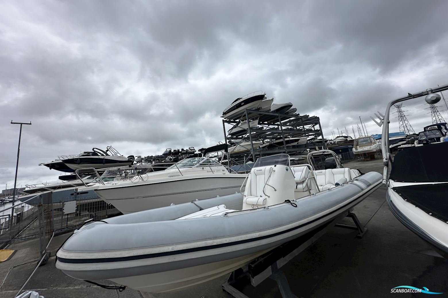 Cobra Nautique Rib 7.5
