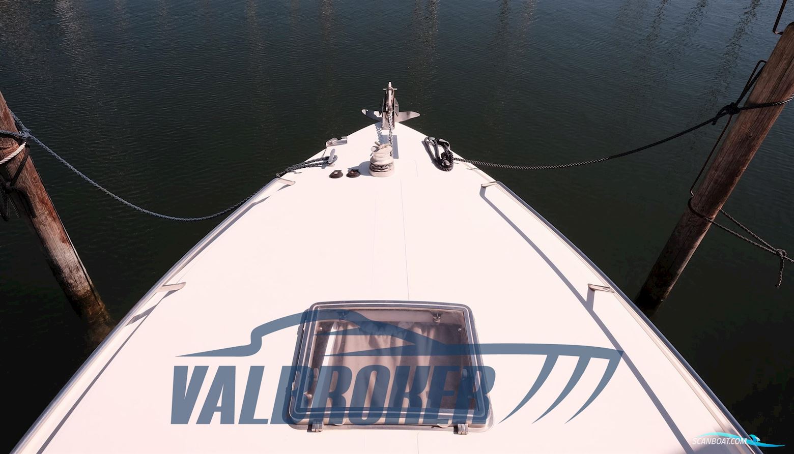 Colombo BLUE SHORE SPECIAL 41