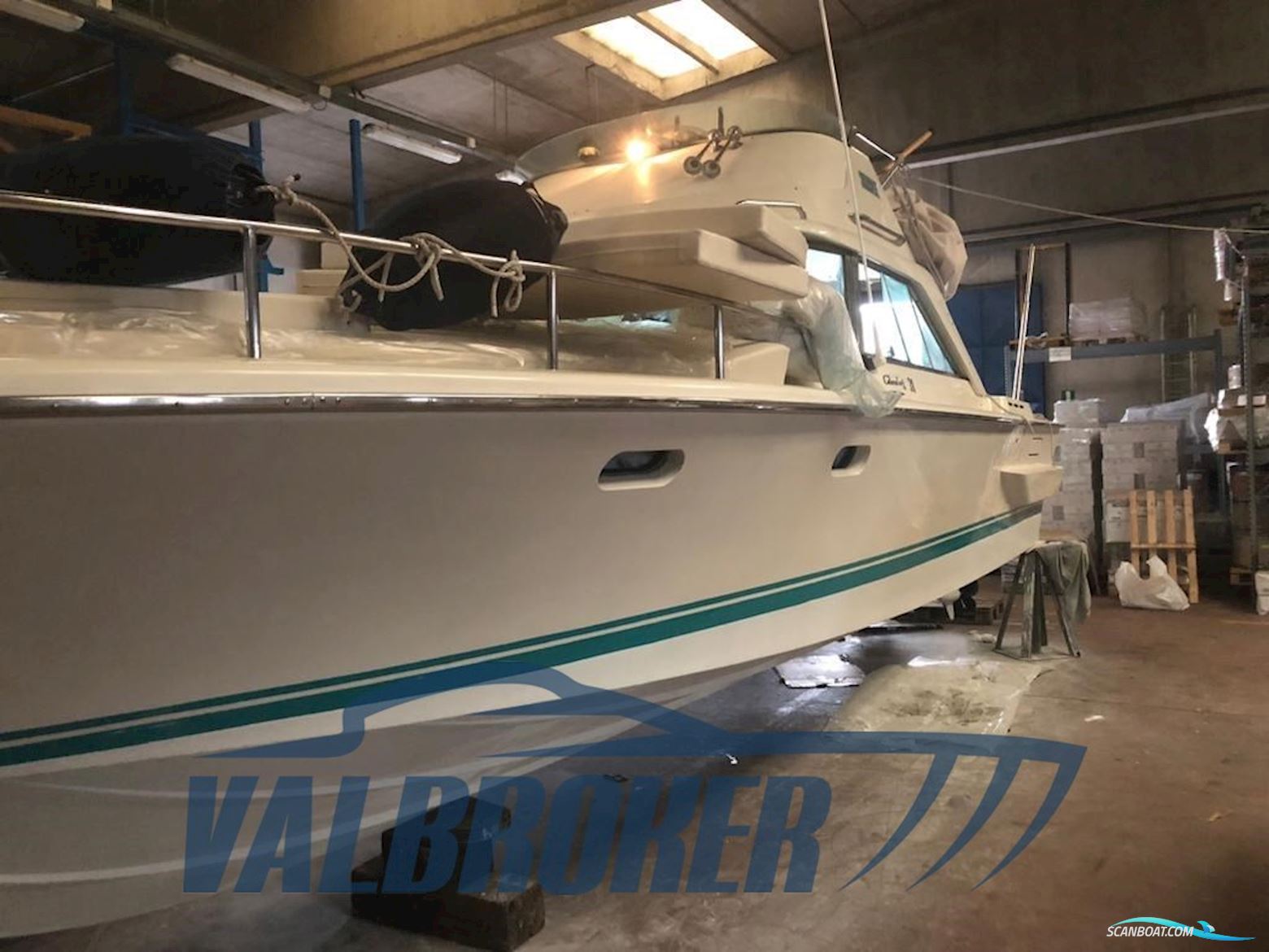 Colombo Sport Fisherman 31