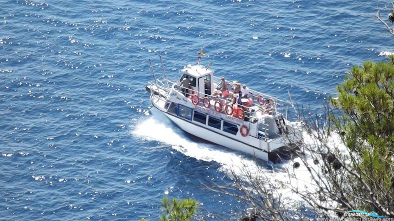 Commercial Snorkelling Day Cruiser Fishing Boat
