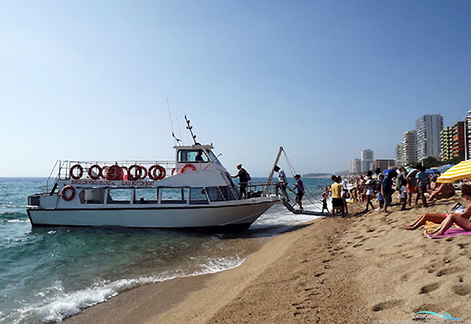 Commercial Snorkelling Day Cruiser Fishing Boat
