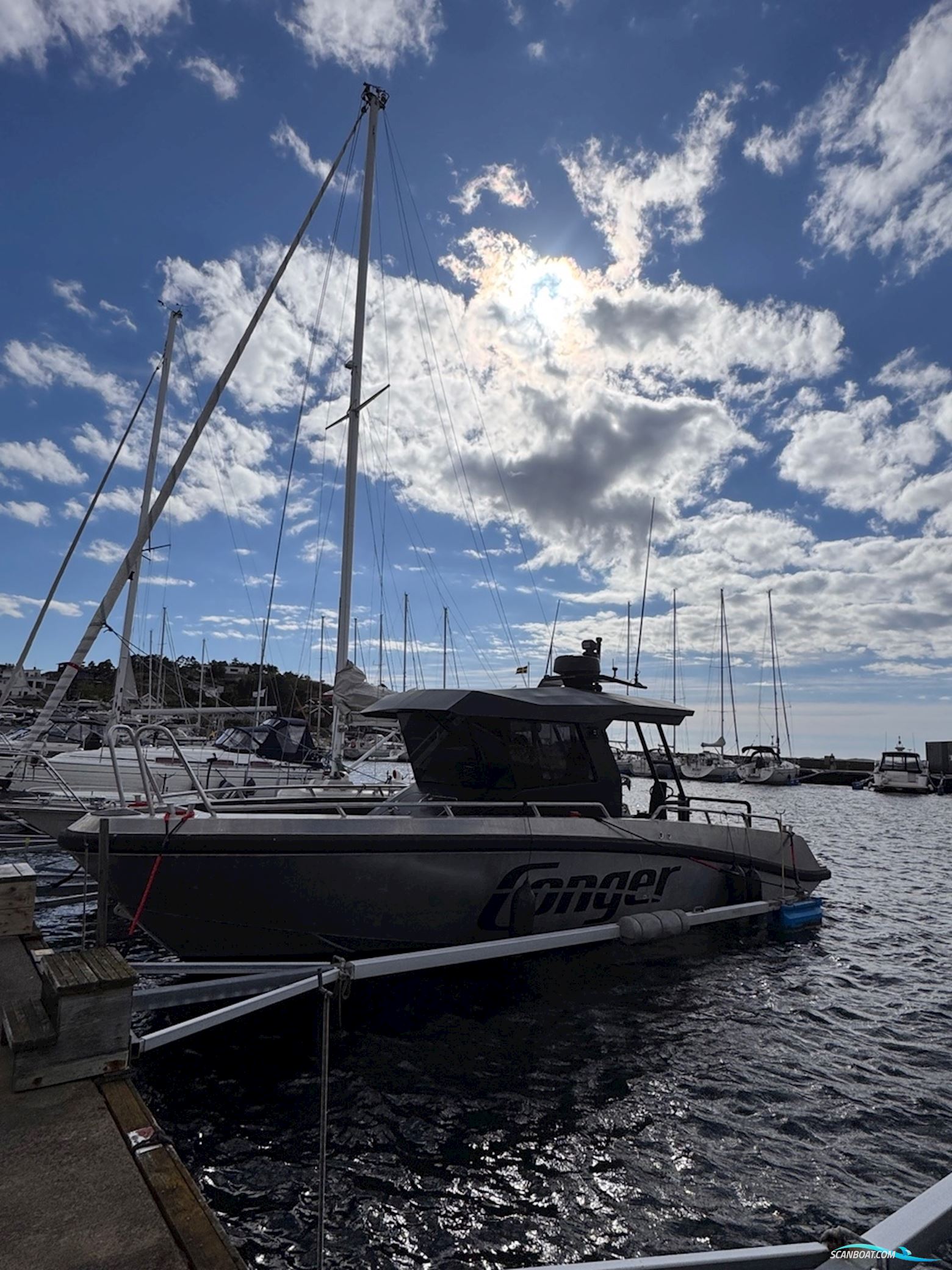 Conger C34