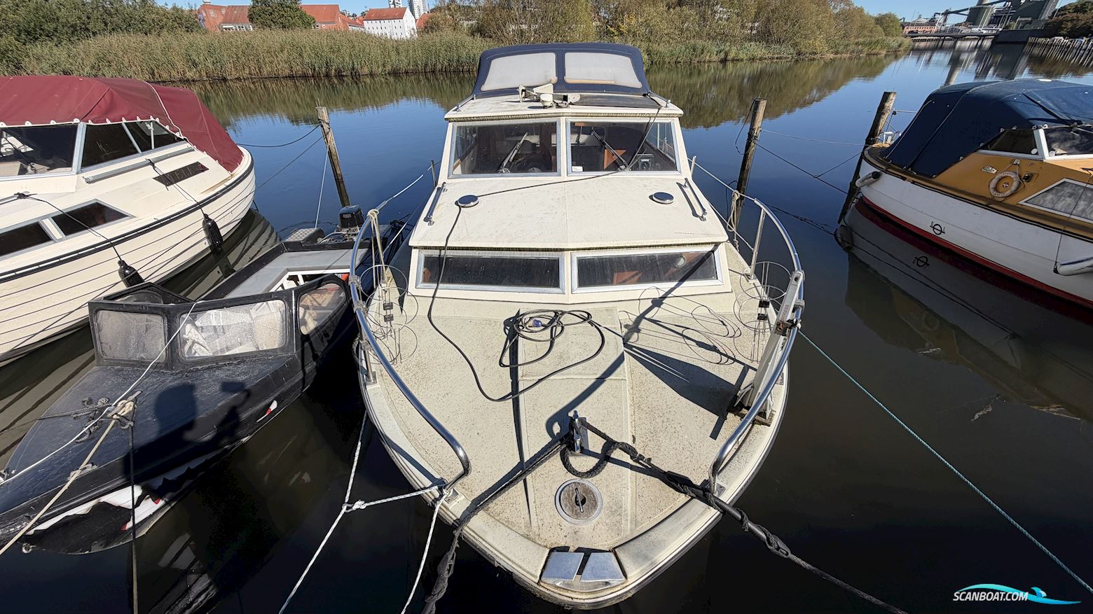 Coronet 26 Family