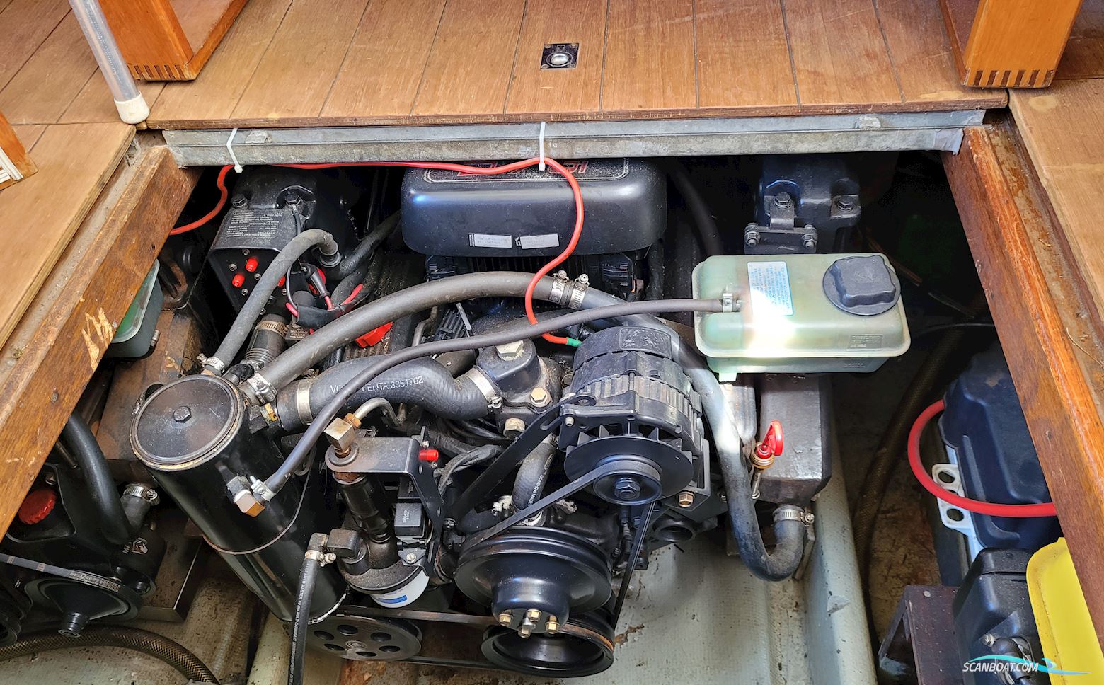 Coronet 32 Commander Wing