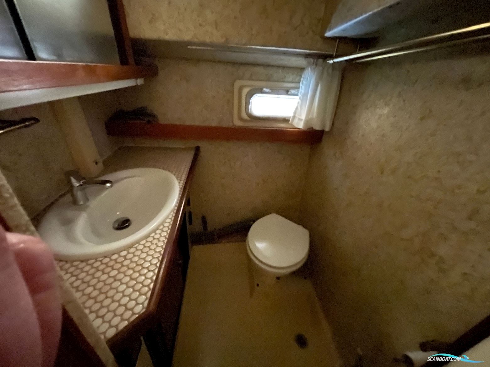 Cytra Ambassador 38 DS