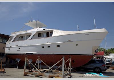 Dagless Fleur de Lys 56