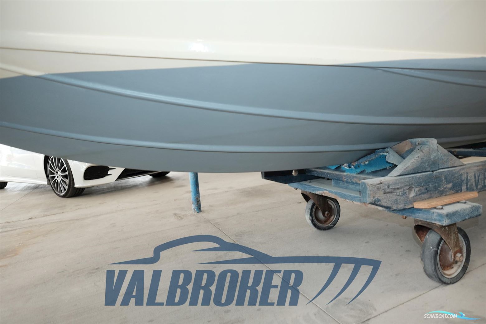 Dalla Pietà Adriatico