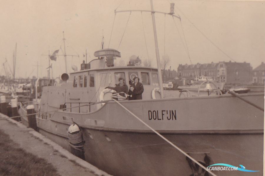 Dolfijn 