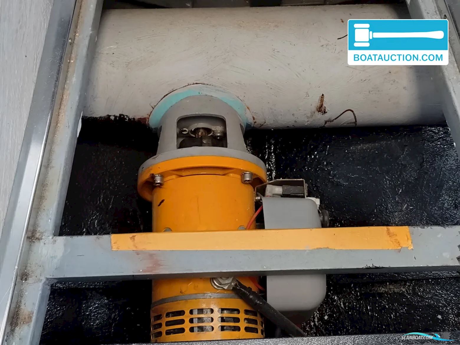 Dongemond kruiser 800