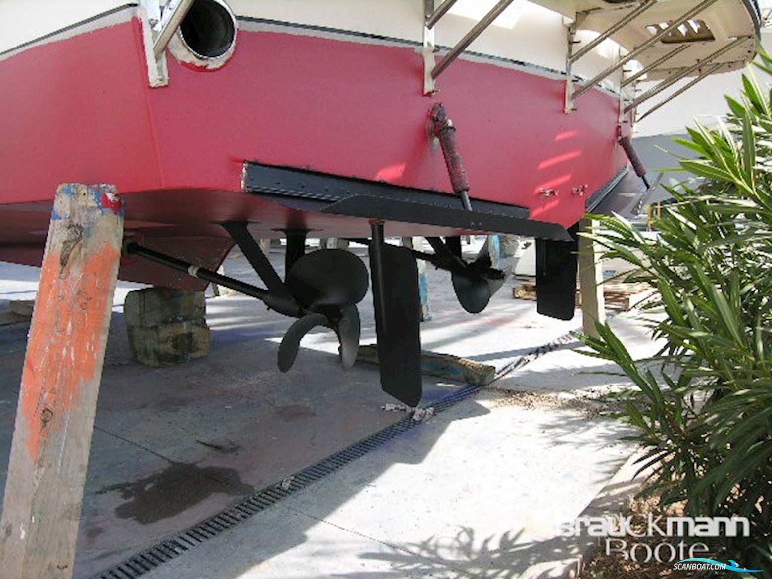 Edership 40