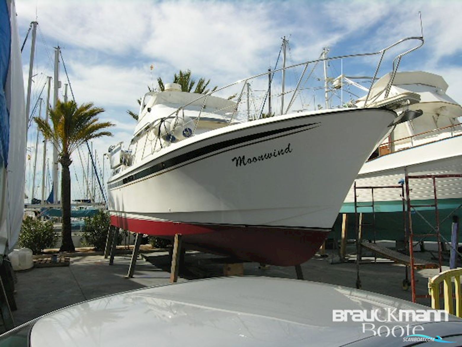 Edership 40