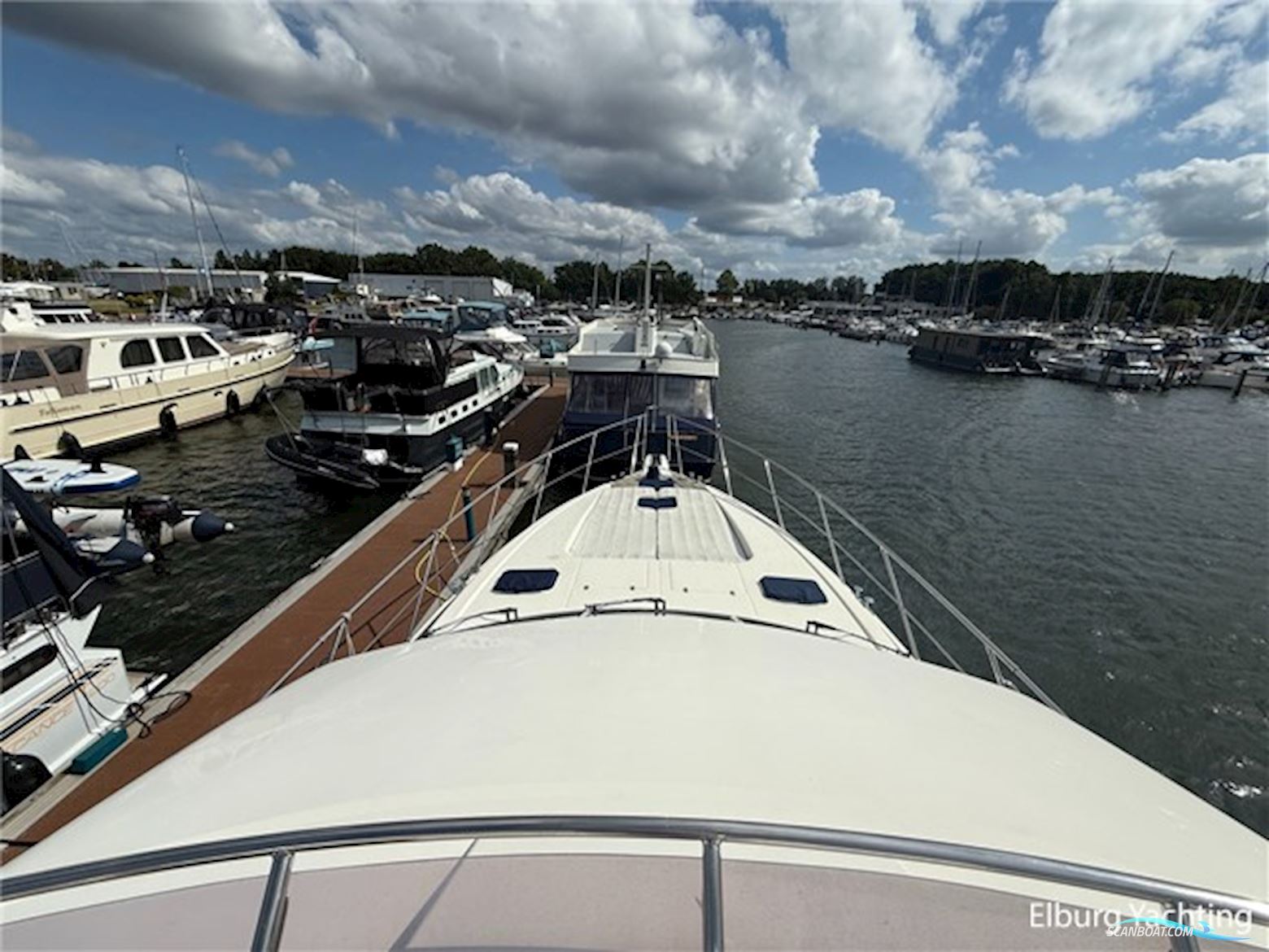 Elegance 53