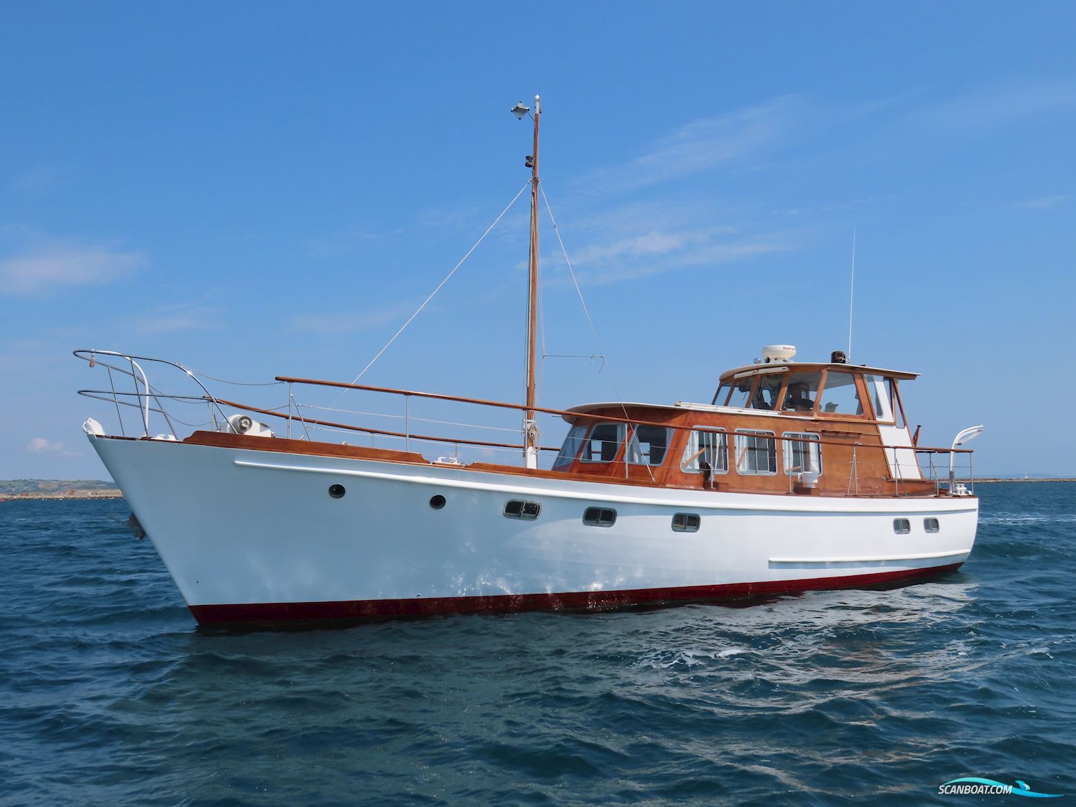 Fleur de Lys 50