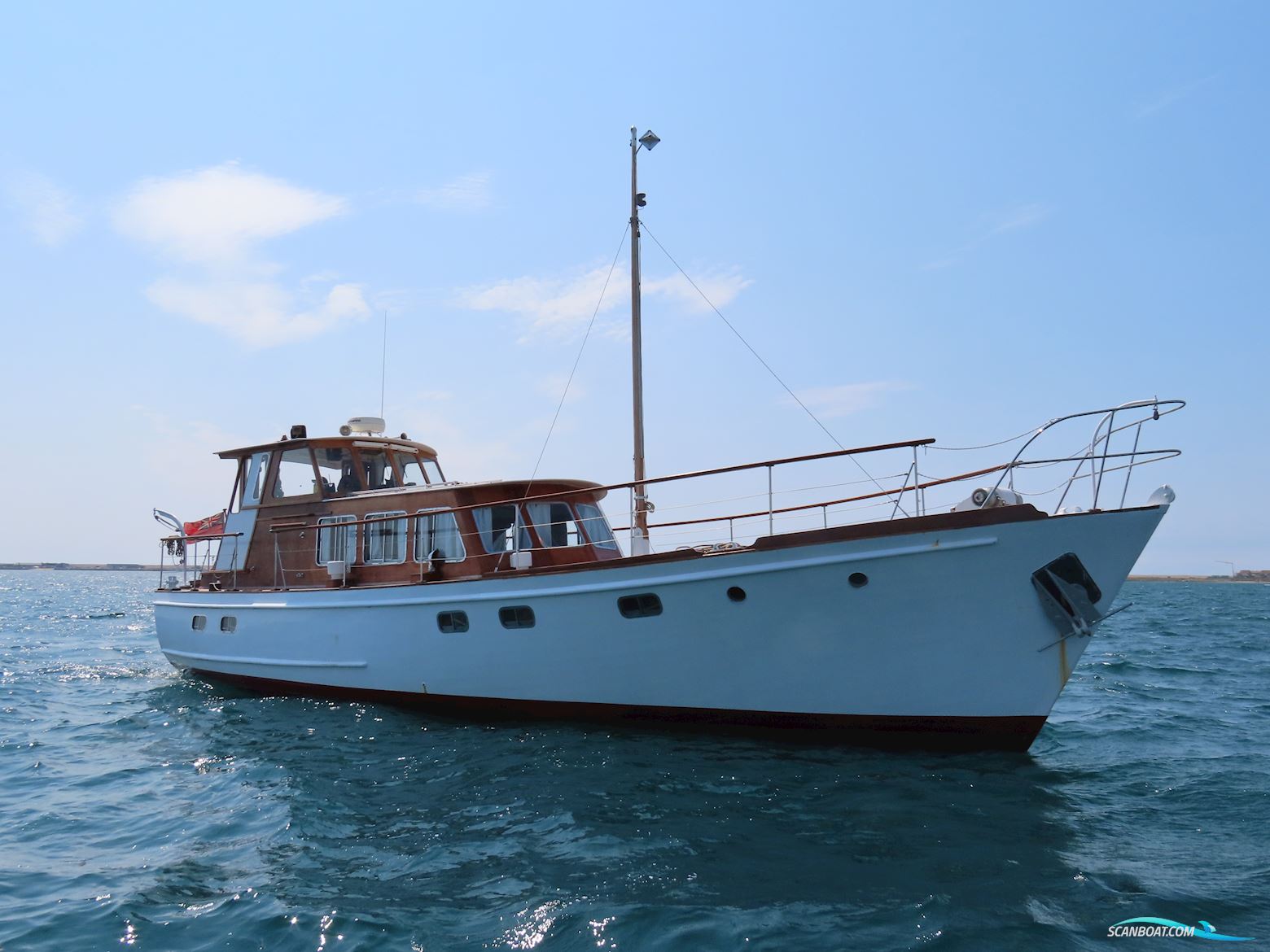 Fleur de Lys 50
