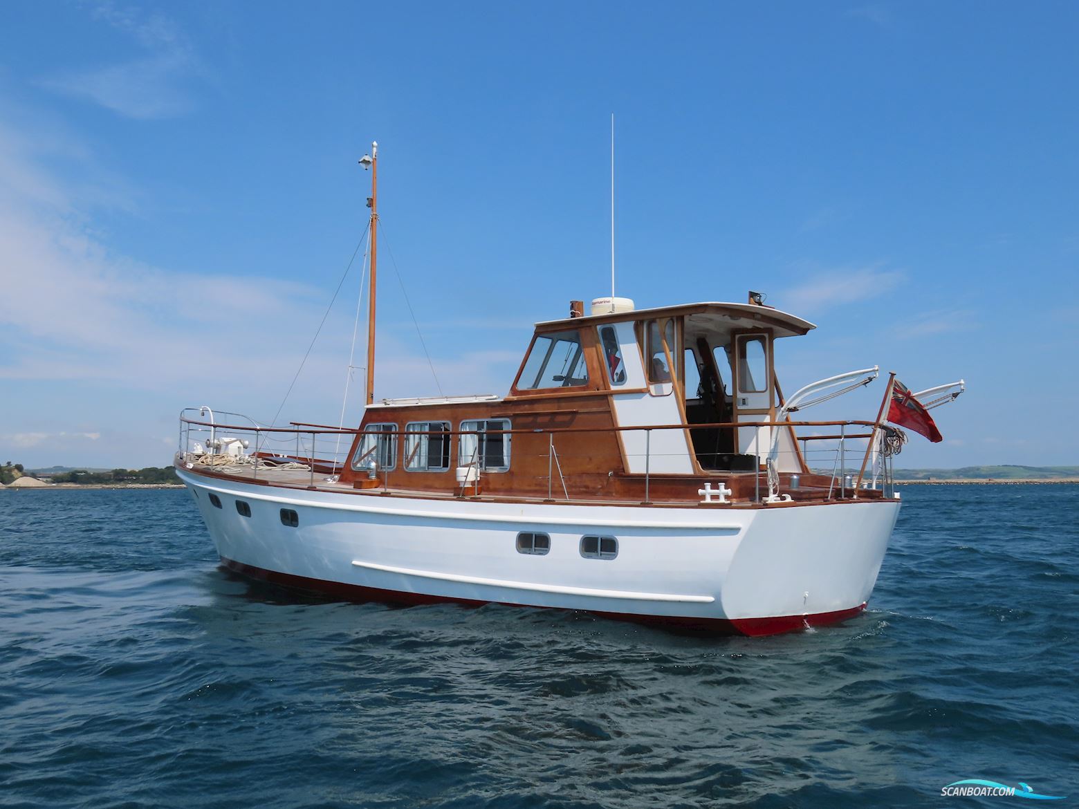 Fleur de Lys 50