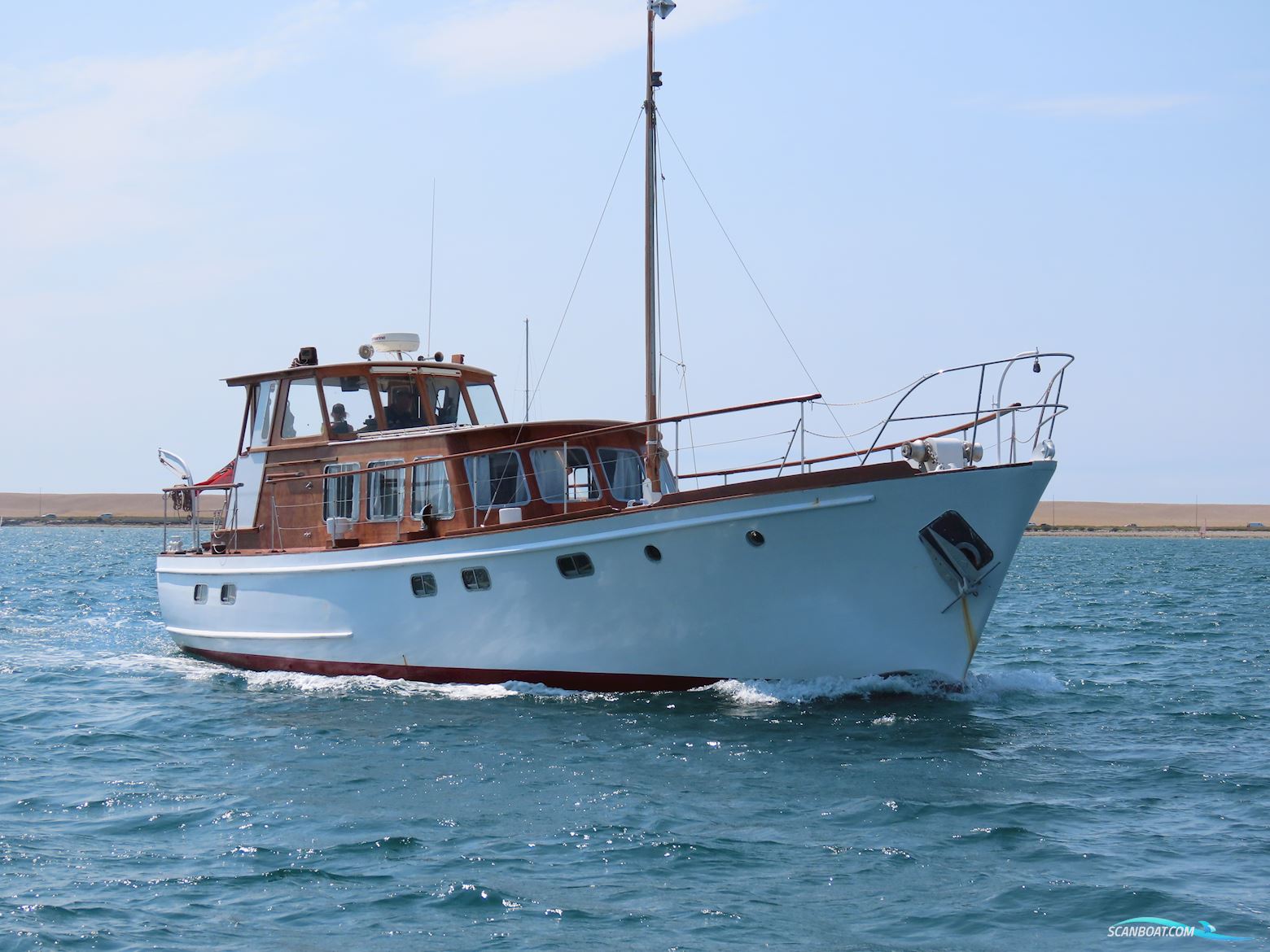 Fleur de Lys 50