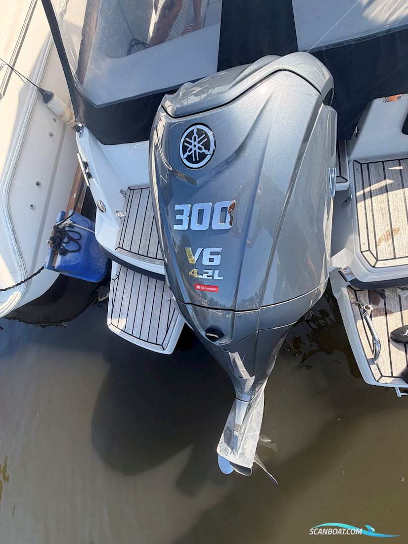 Flipper 800 DC, 2024 - Yamaha 300 hk 