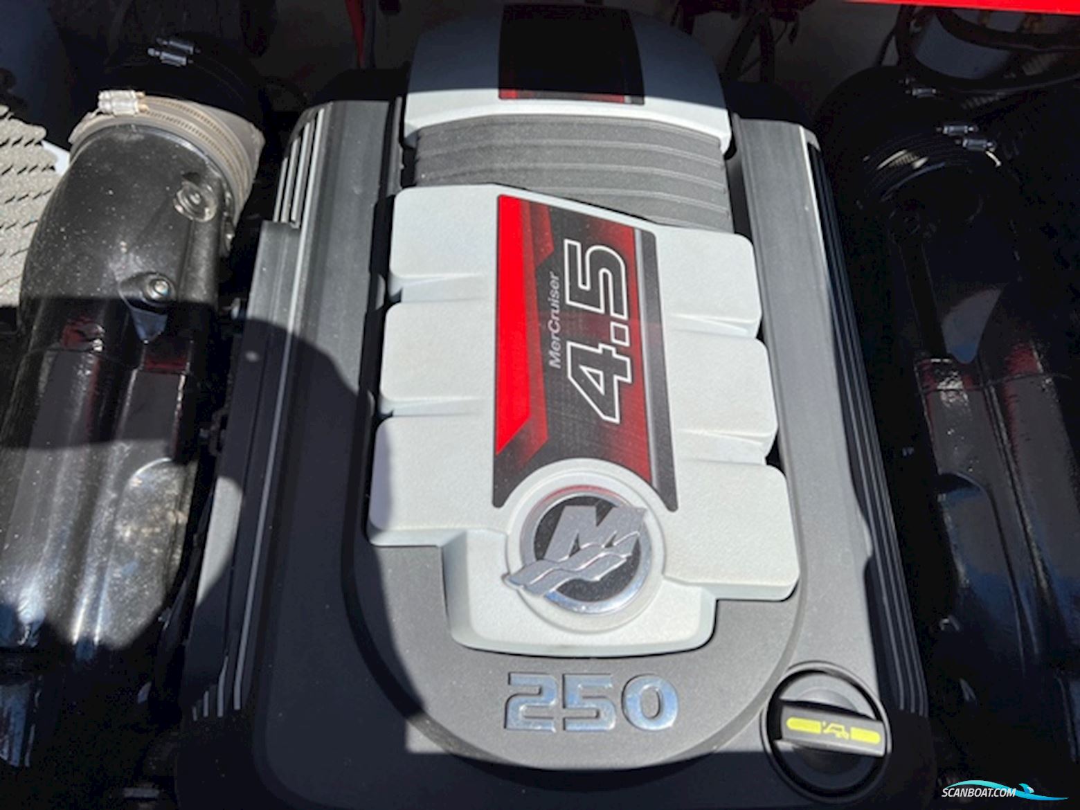 Formula Thunderbird 20 GL