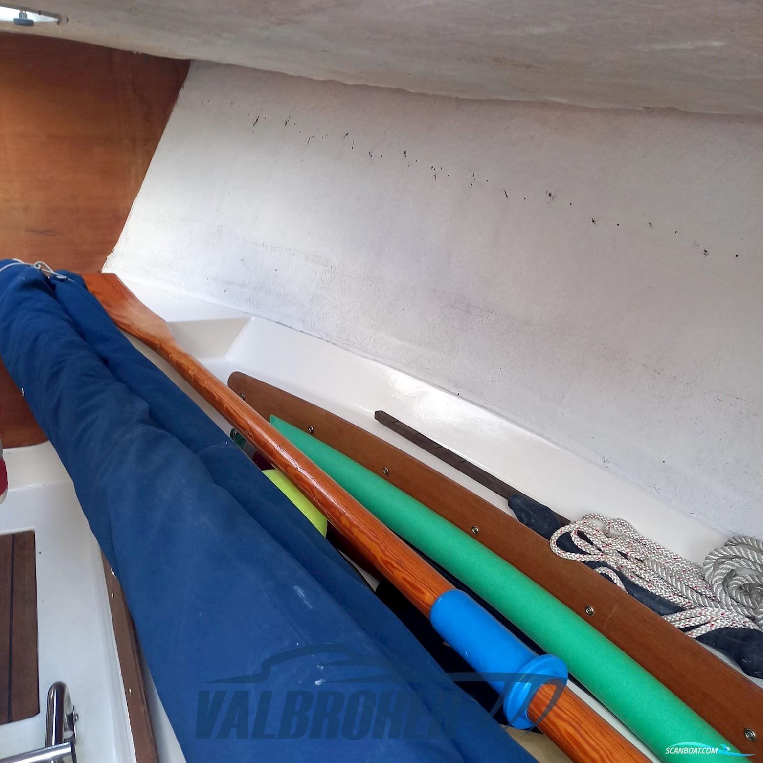 Gozzo Genovese Baciccia