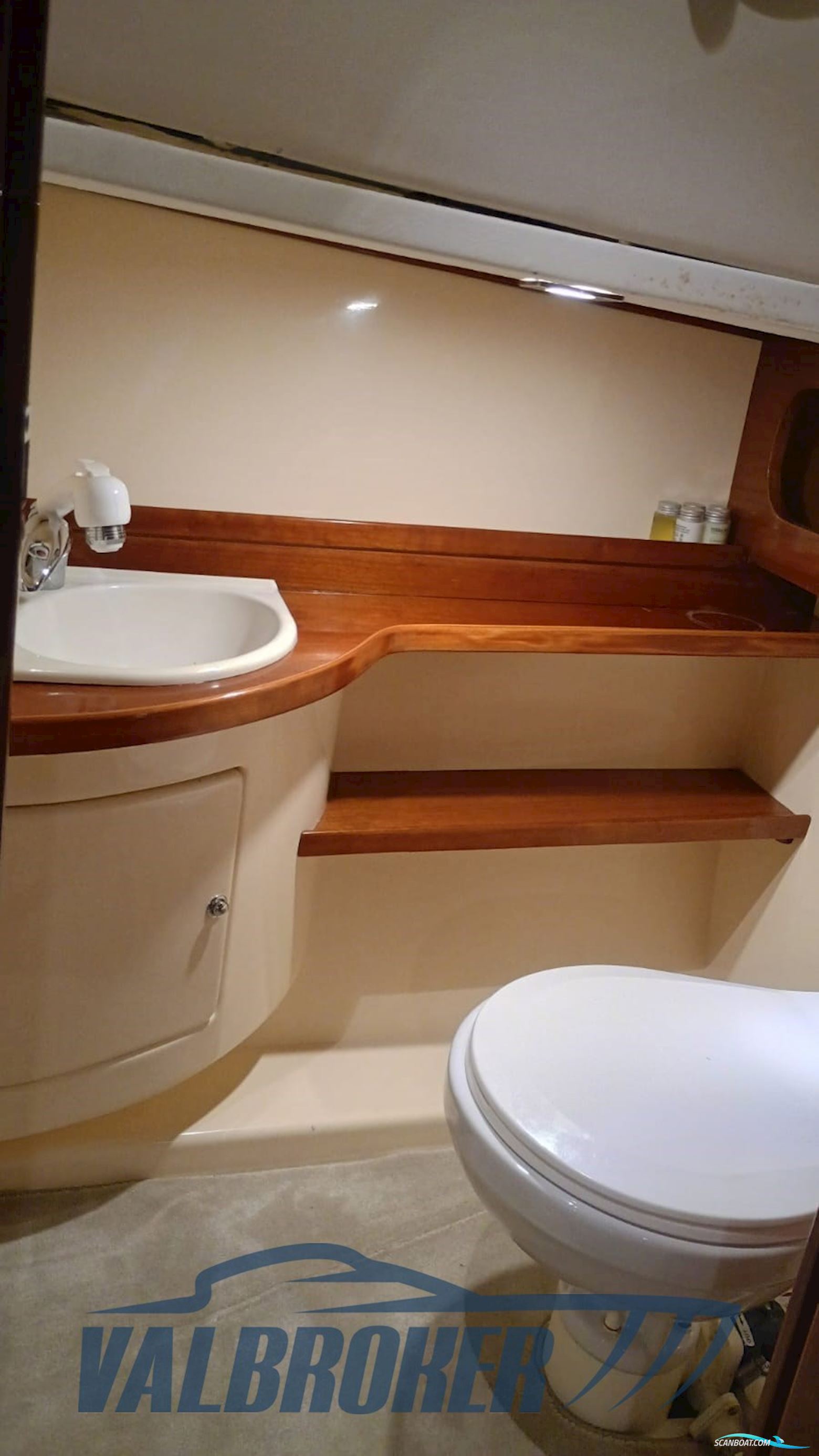 Gozzo Salernitano Venere 28