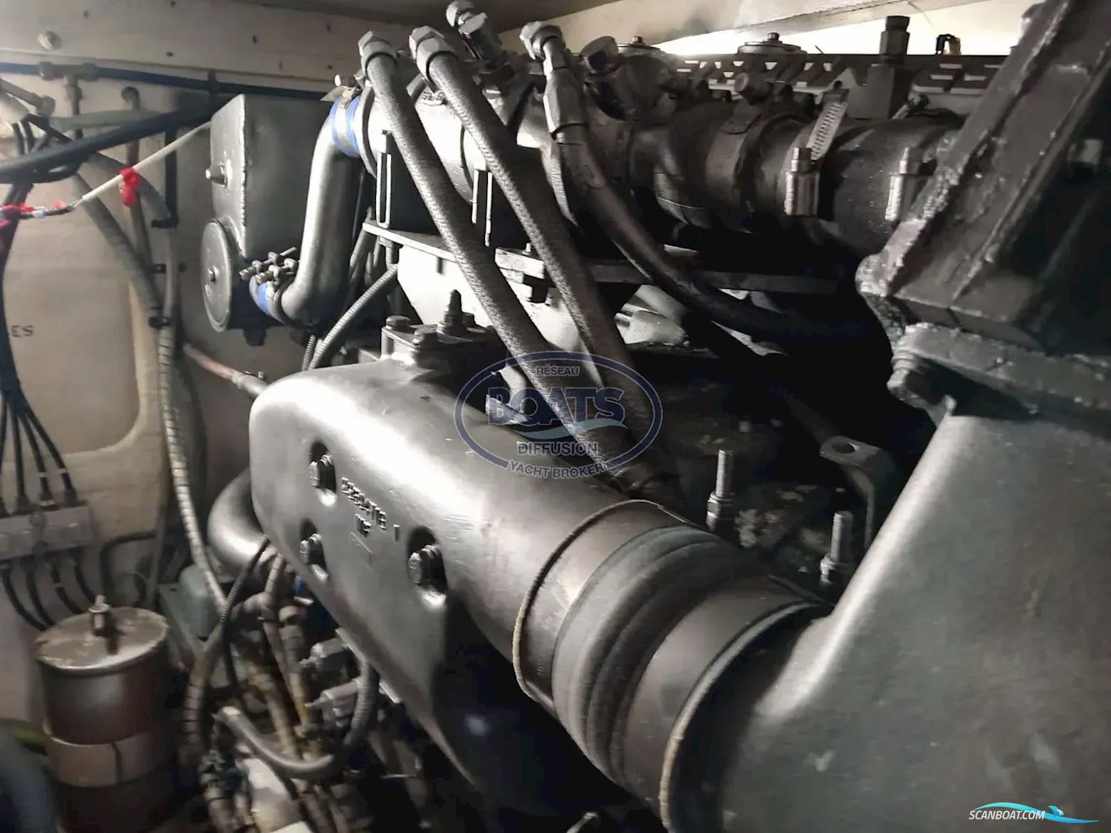 Guy Couach  1401 Fly