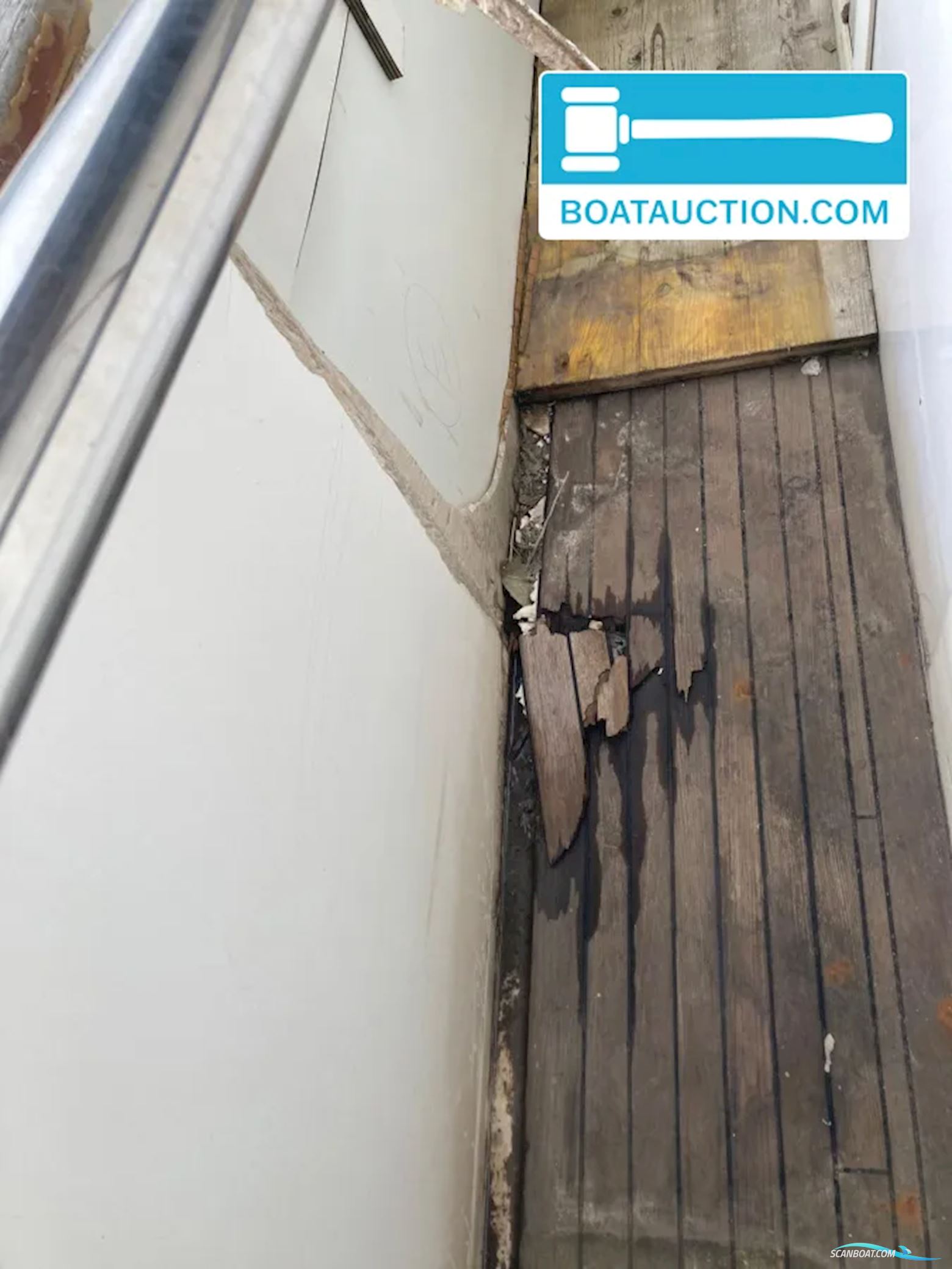 Horizon Elegance 92 Dynasty