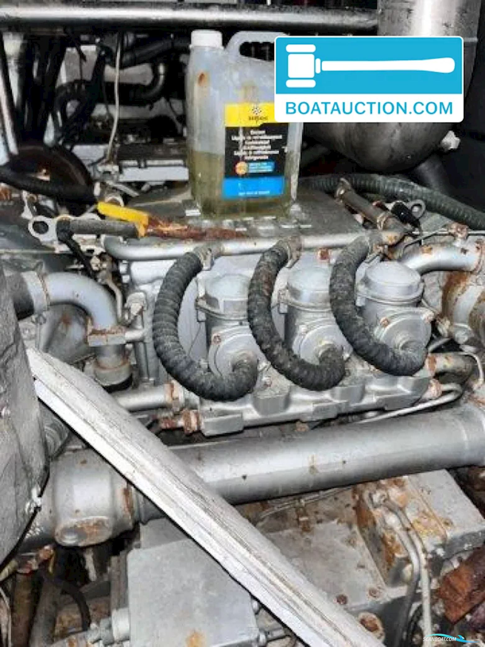 Horizon Elegance 92 Dynasty