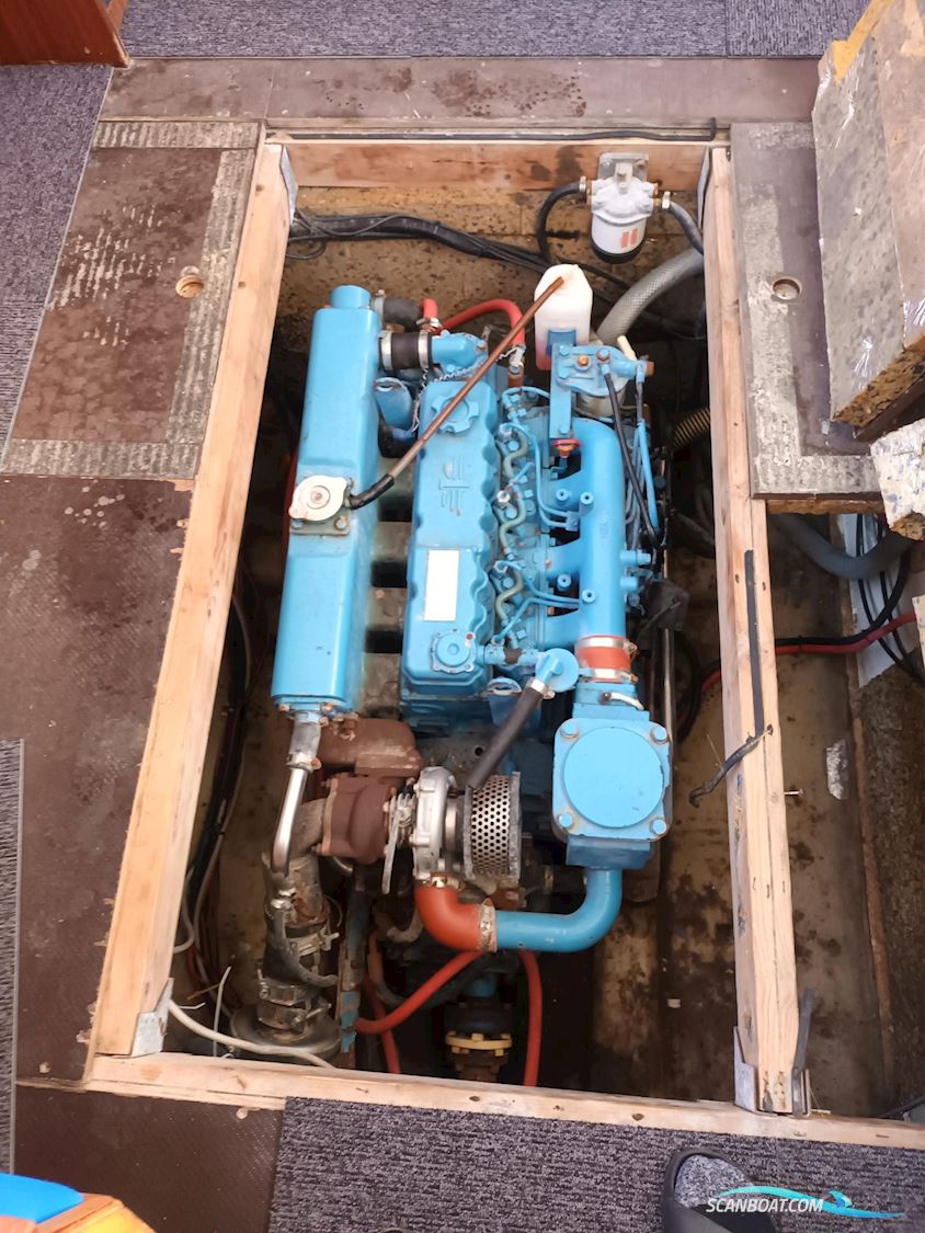 Husky Dane 1000