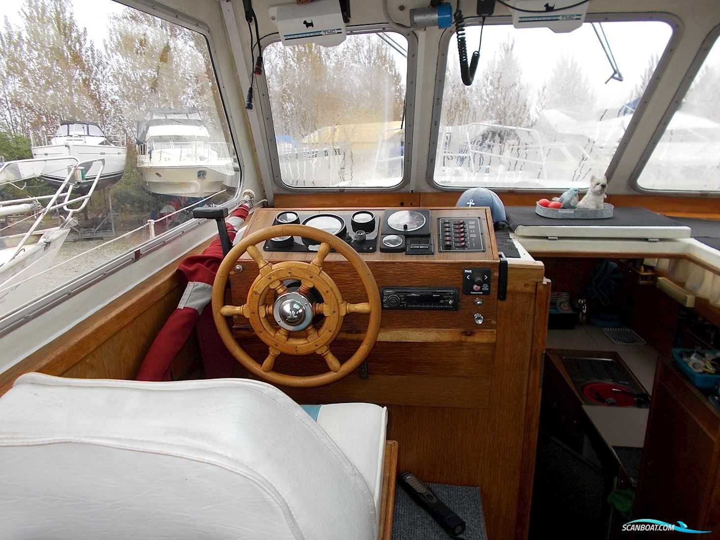 Jupiter 31