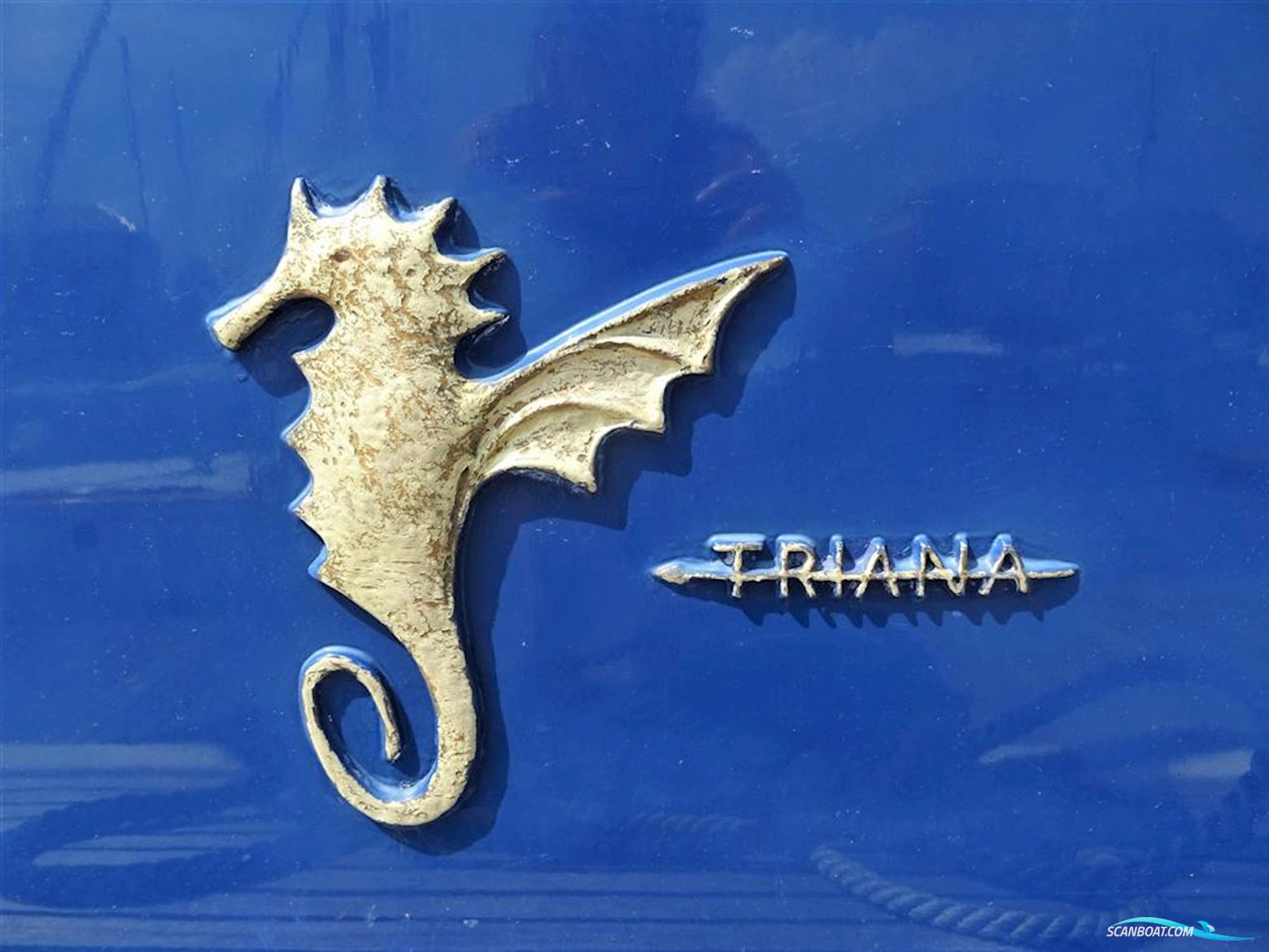 Levi Triana Tantarella 35