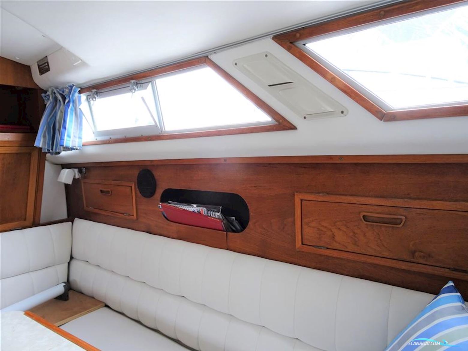 Levi Triana Tantarella 35