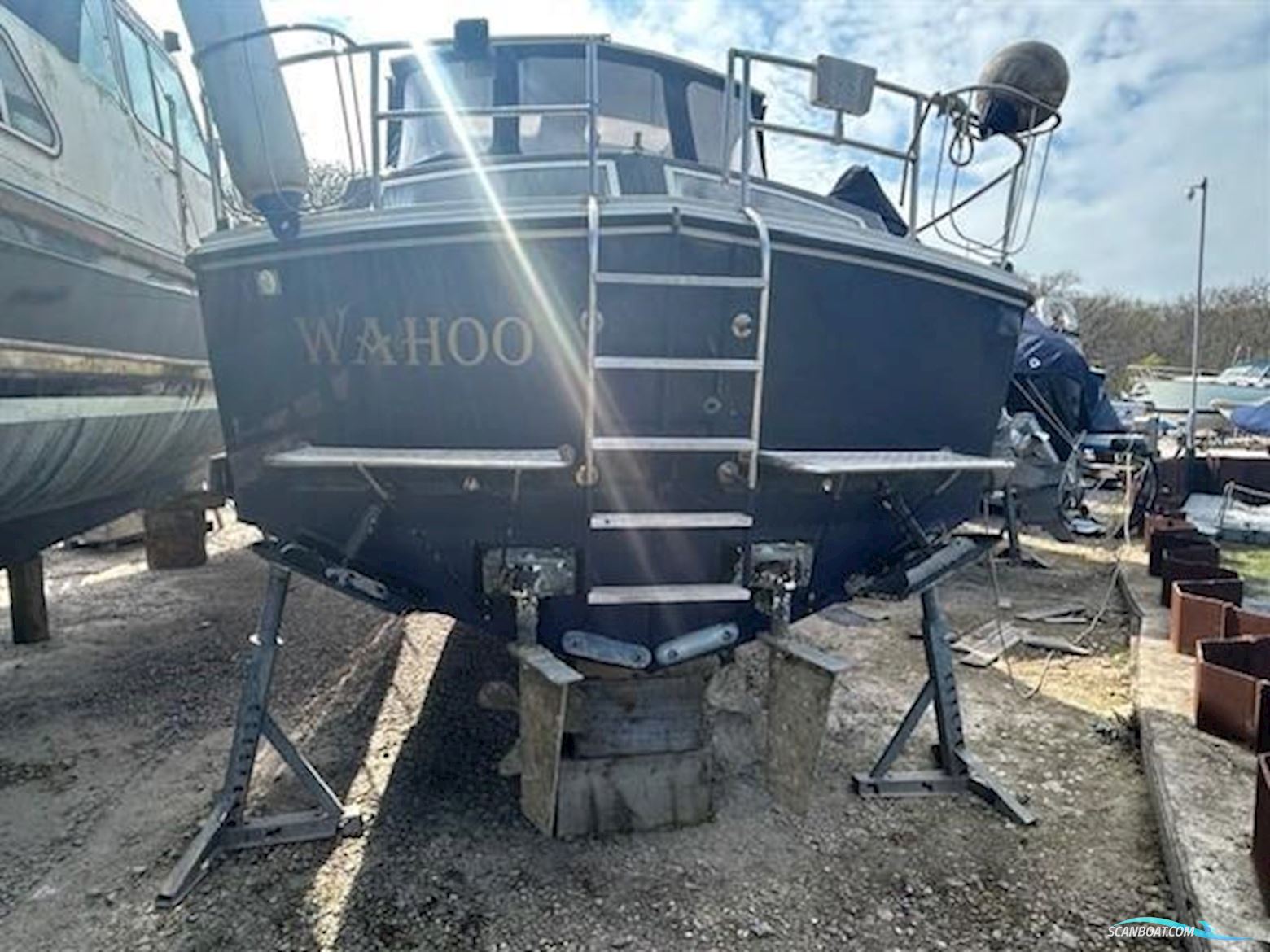 Levi Triana Tantarella 35