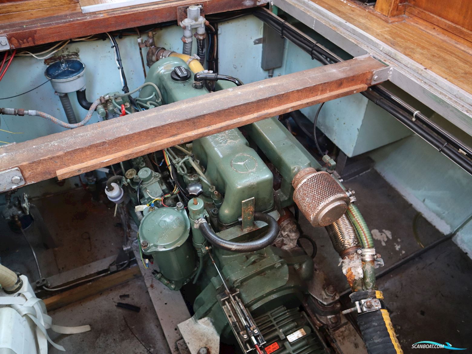 Loosevlet 950 Sint Jozef