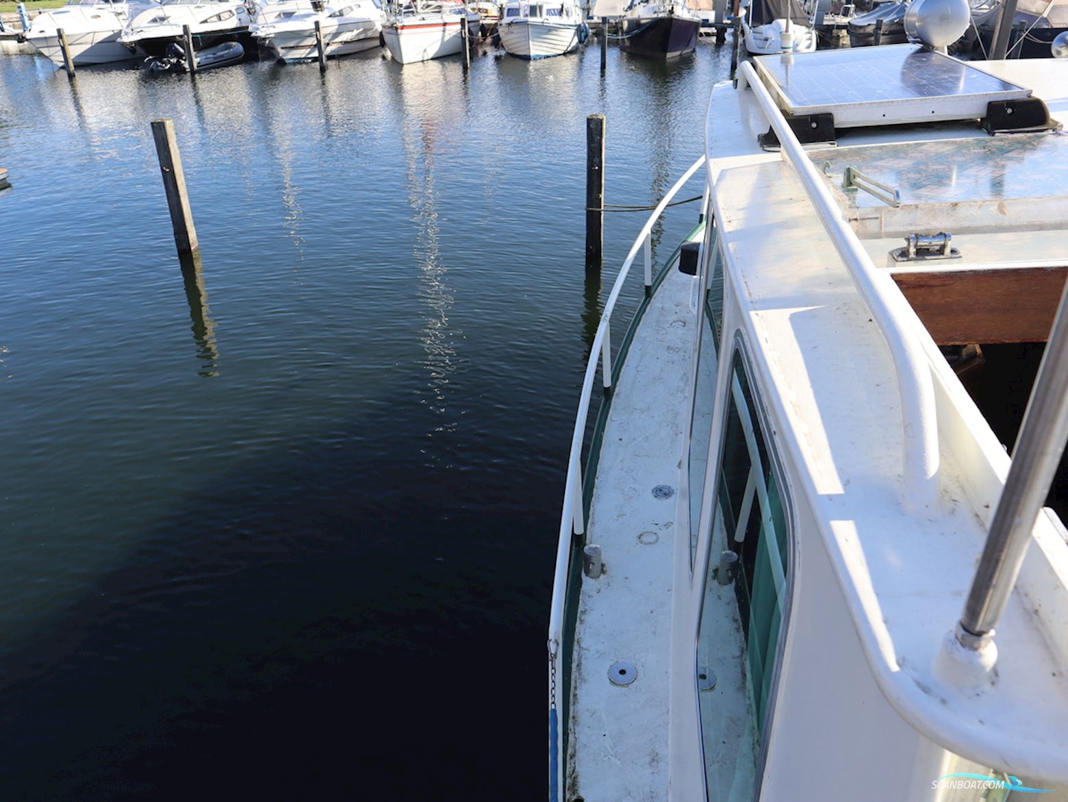 Loosevlet 950 Sint Jozef