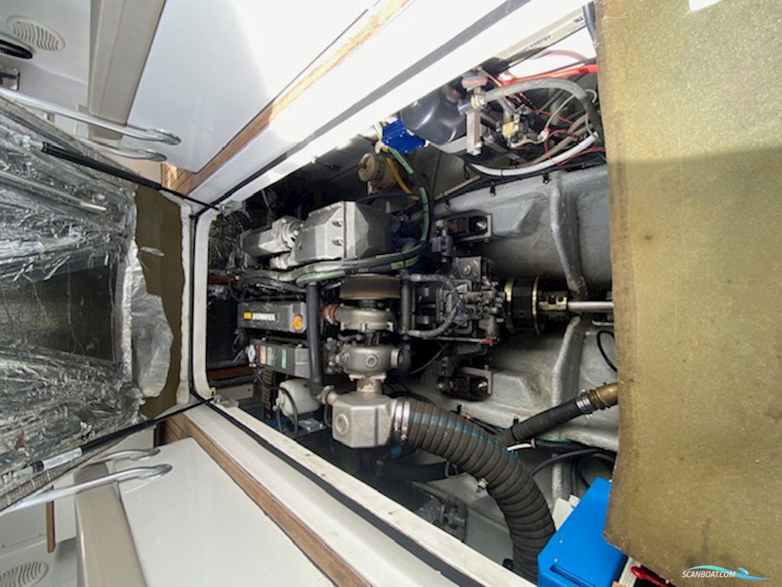 Luhrs  Mainship 30 Pilot