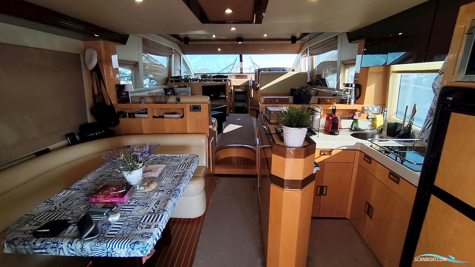 Majesty 56