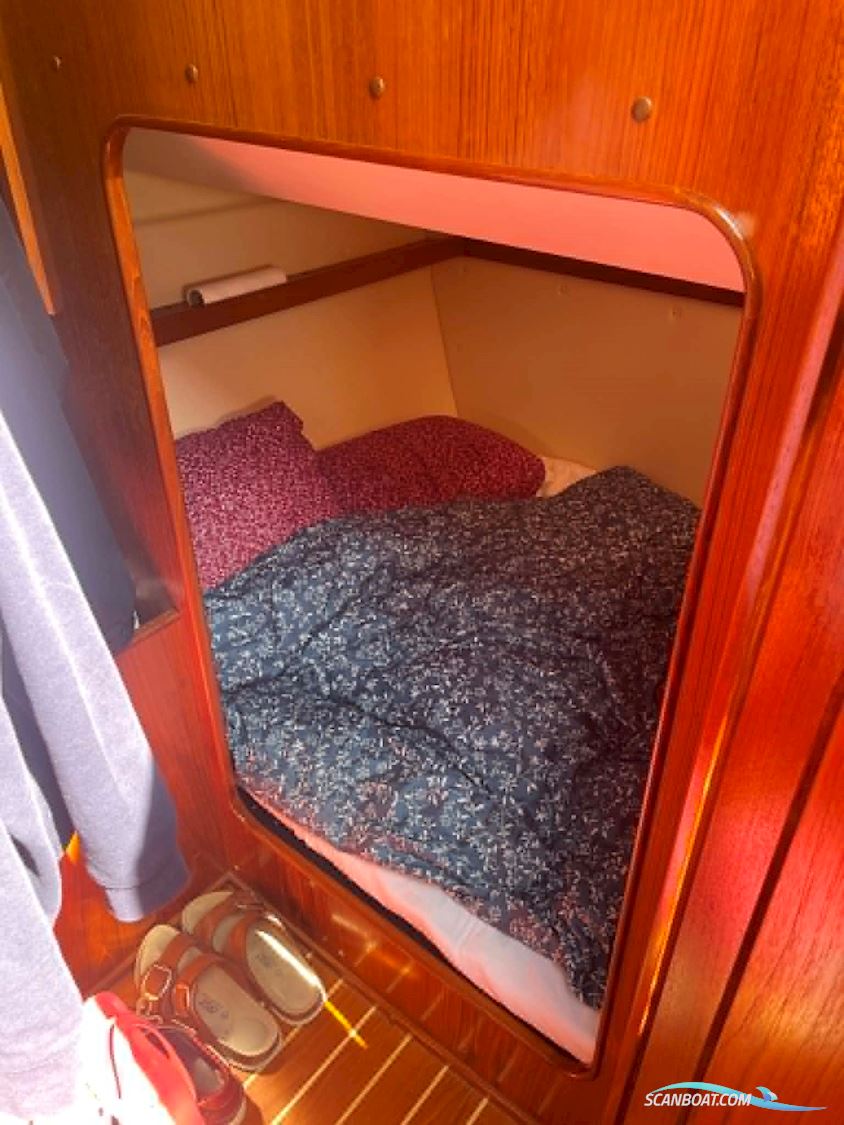 Marex 290 Sun Cruiser