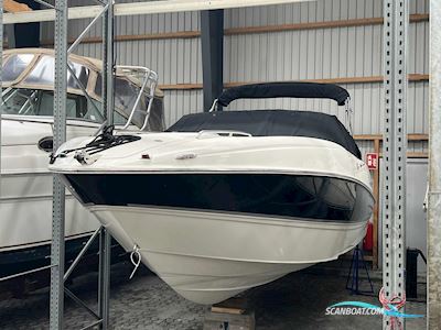 Maxum 2400 SC3 Motorbåt 2008, med Mercruiser 350 MAG MPI motor, Danmark