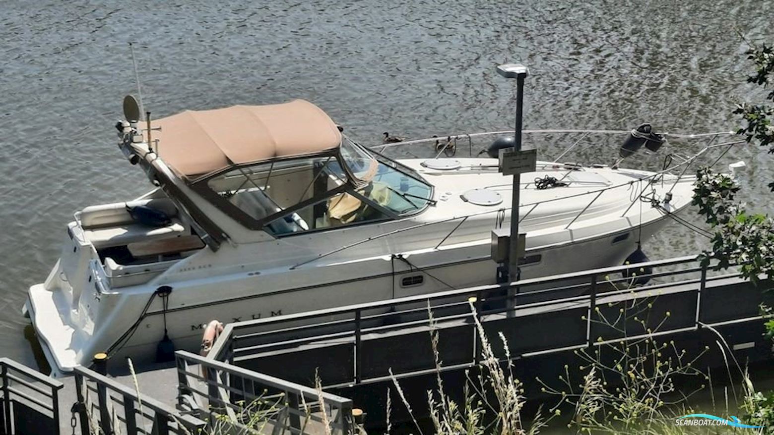 Maxum 3200 Scr Motorbåt 1996, med Mercruiser 5.7 LX motor, Tyskland