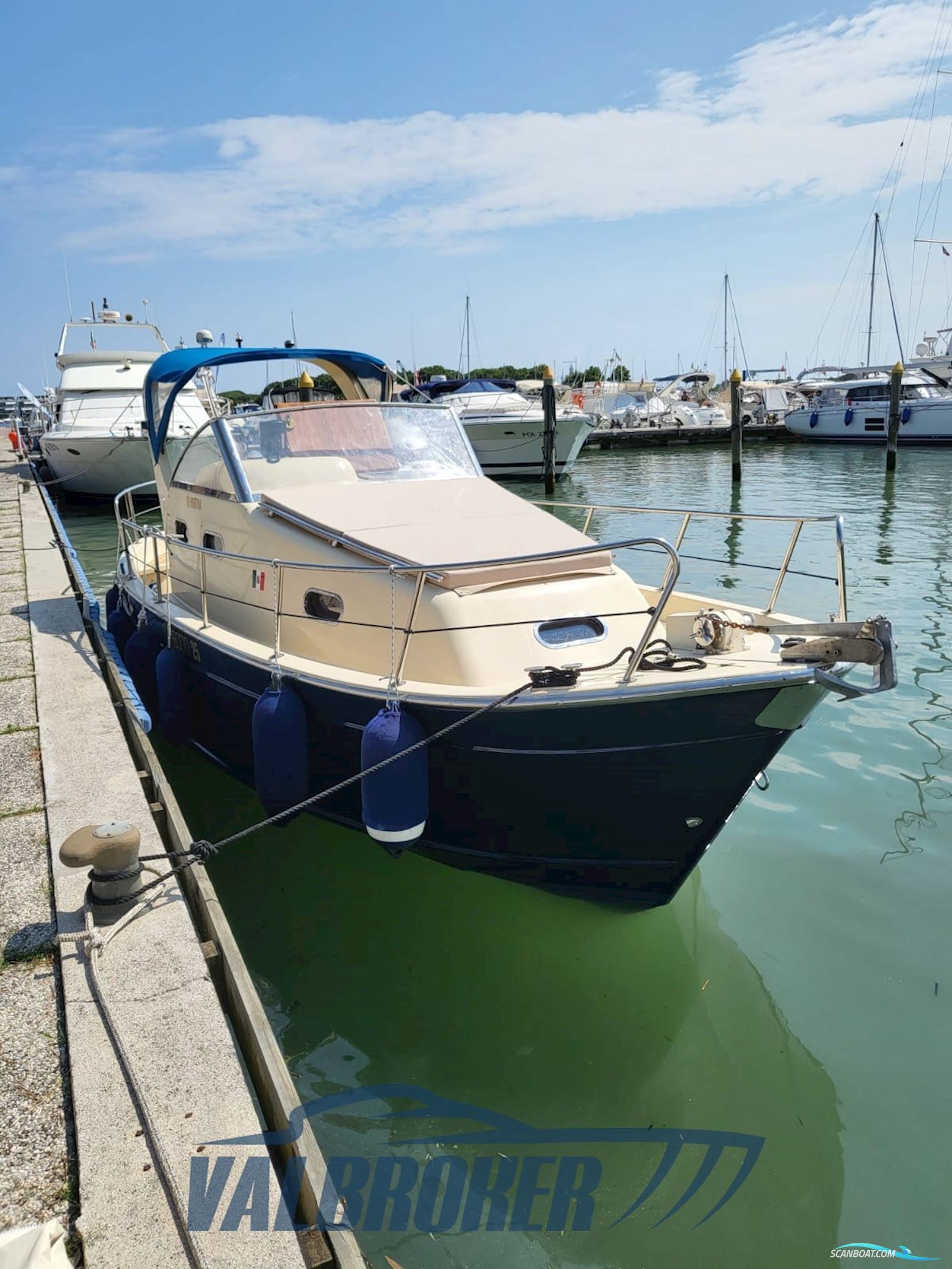 Mimì Libeccio 25