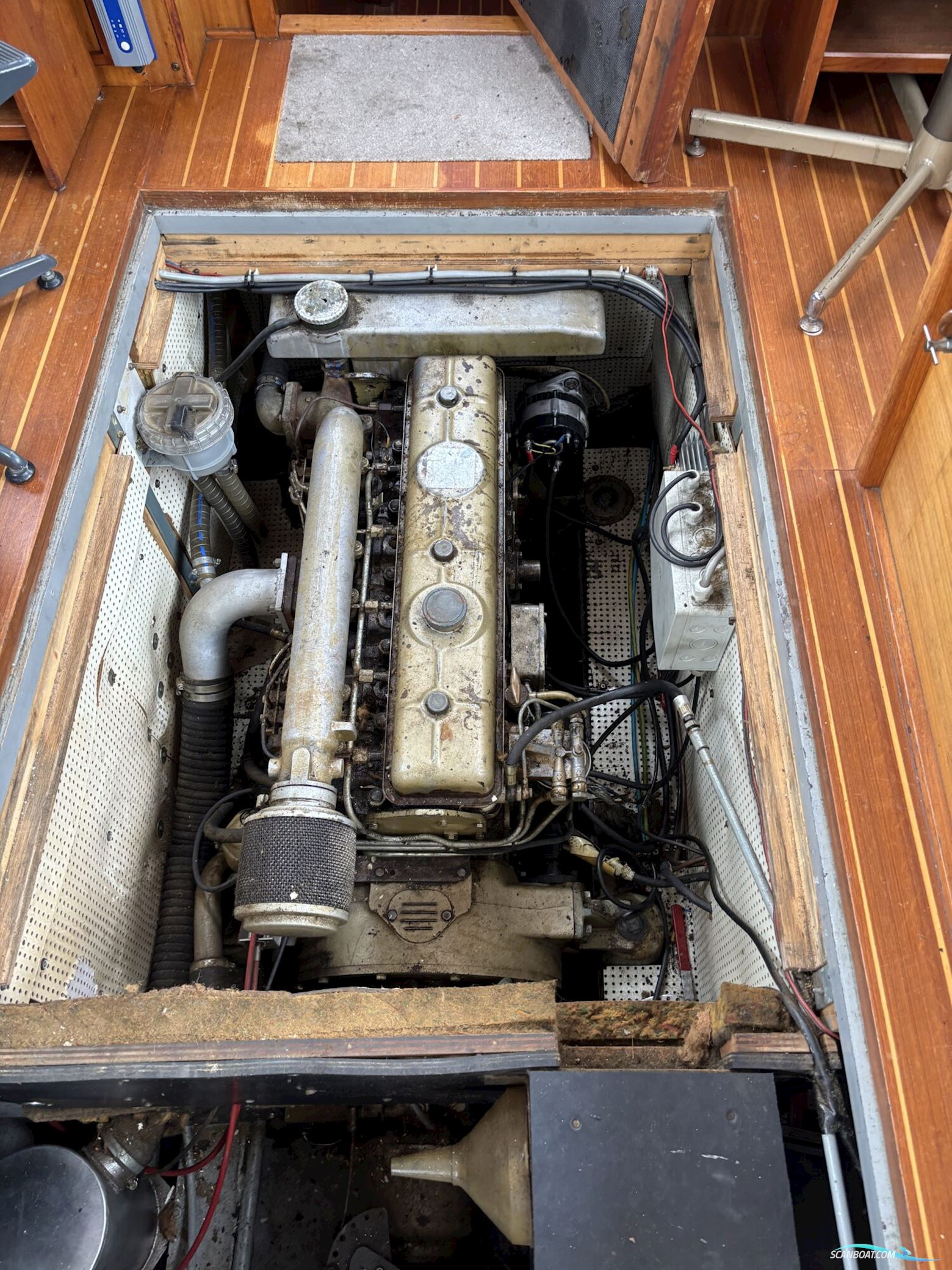 Molenmaker & Mantel Kotter 11.50 OK