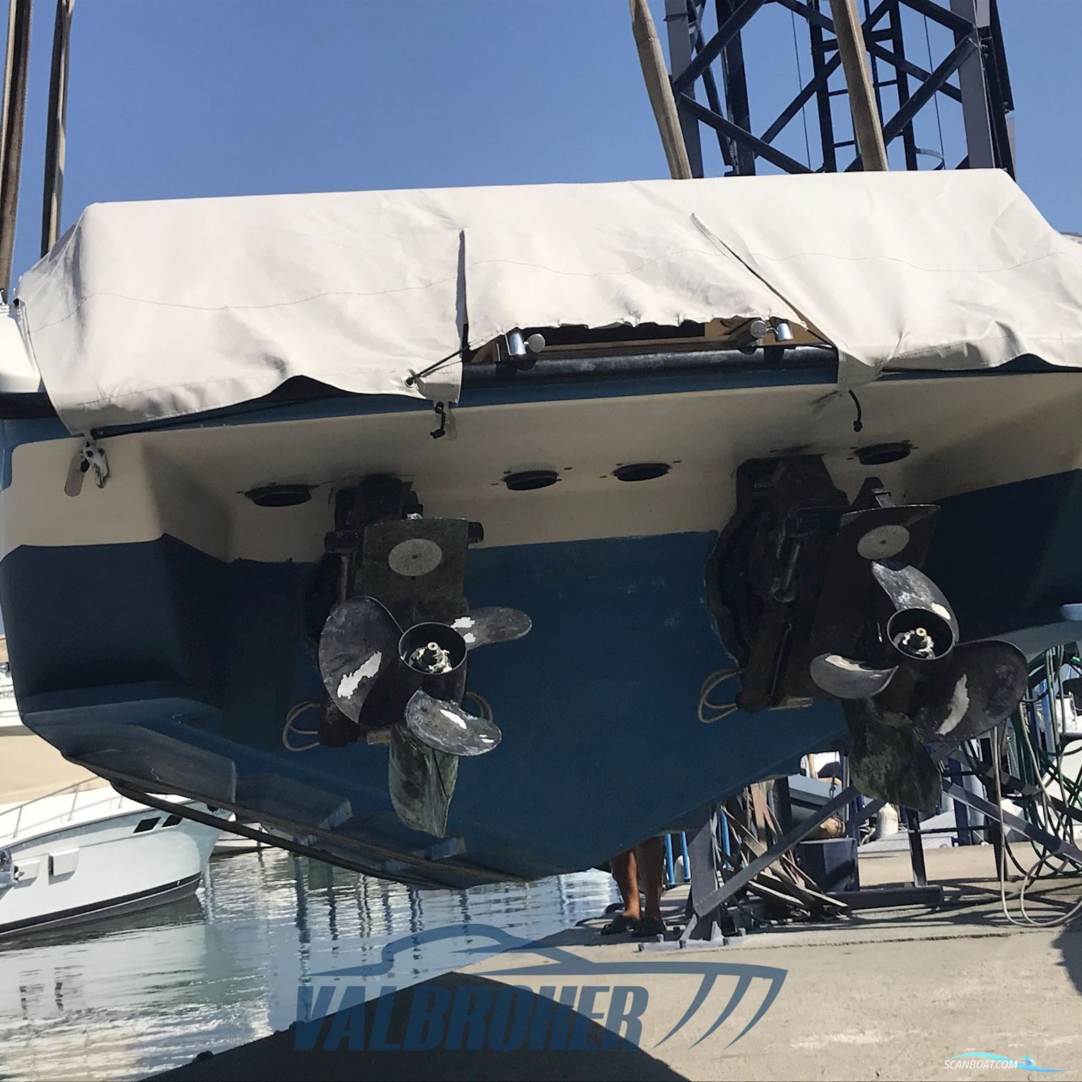 Molinari Falcon 26
