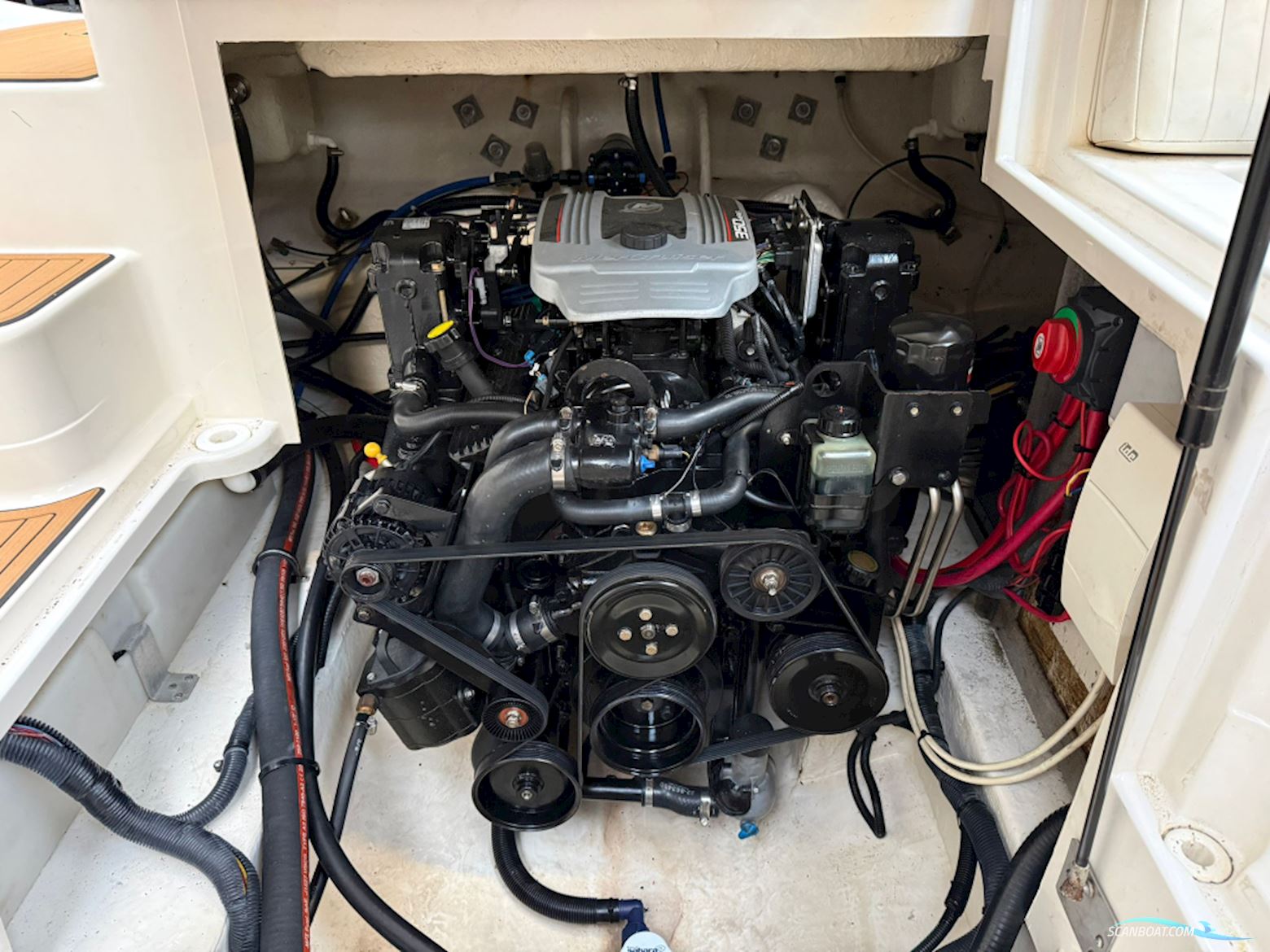 Monterey 248 LS Montura