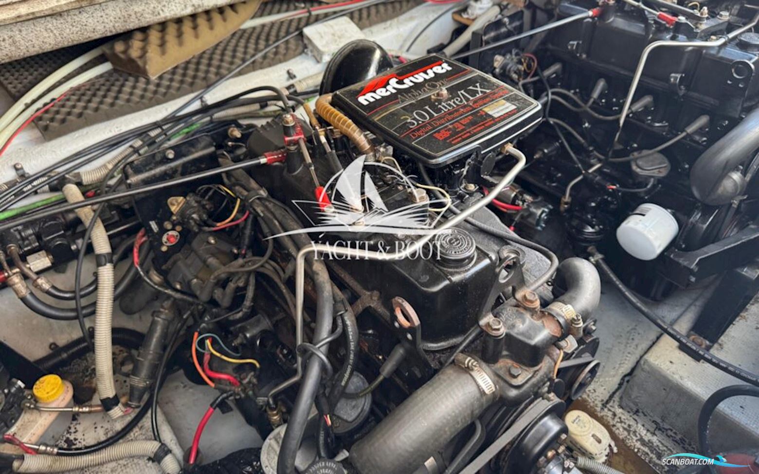 Monterey 250 Cruiser