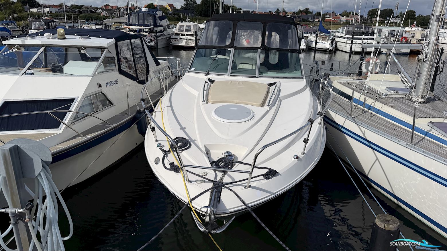 Monterey 290