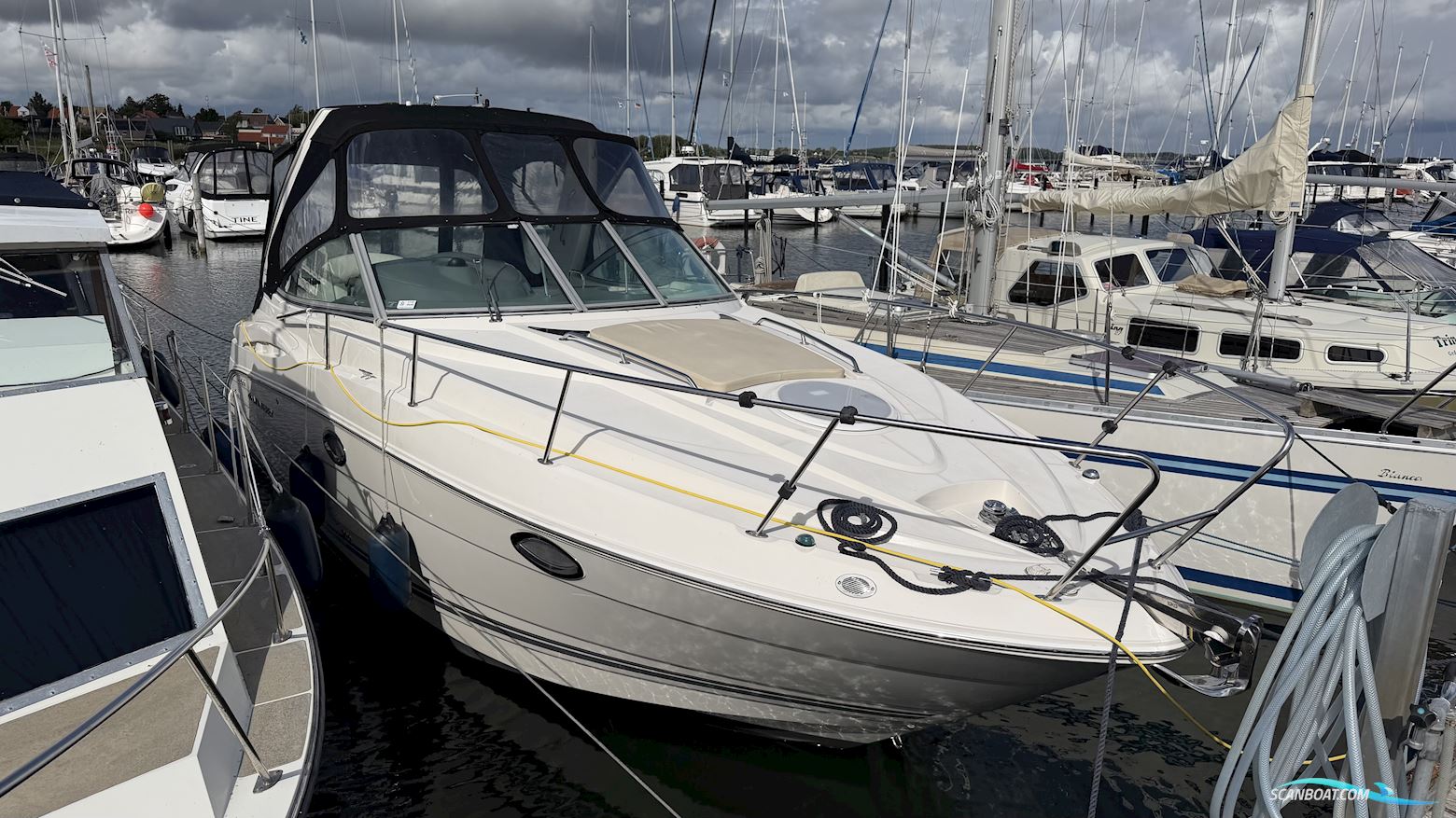 Monterey 290