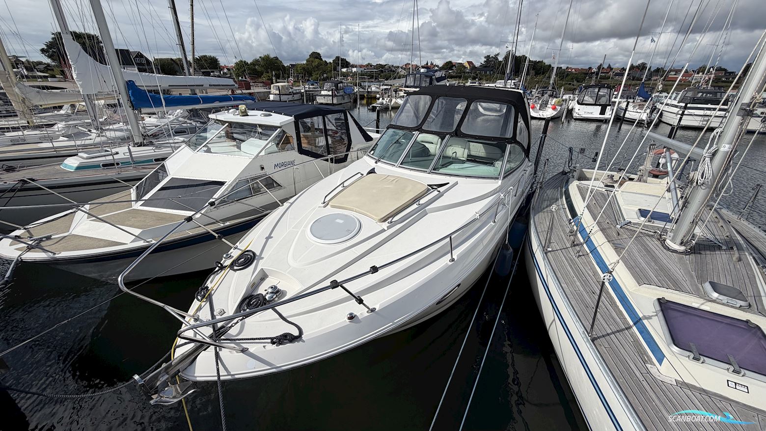 Monterey 290