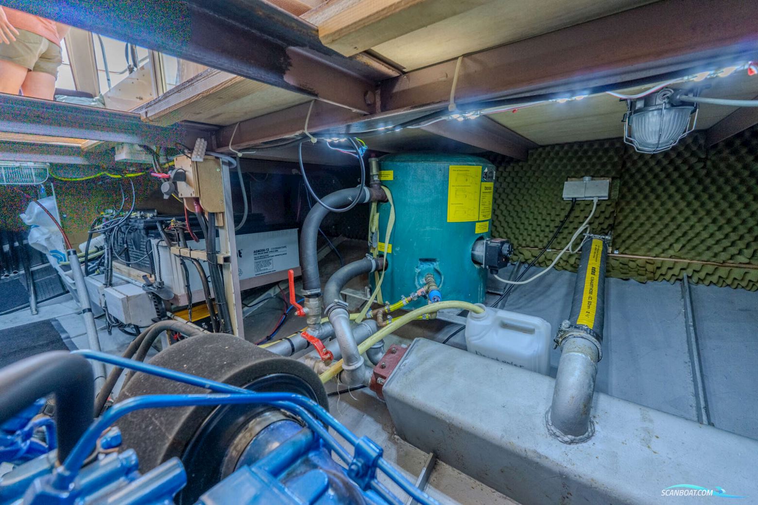 Moree 11.40 OK ‘Kia Ora’
