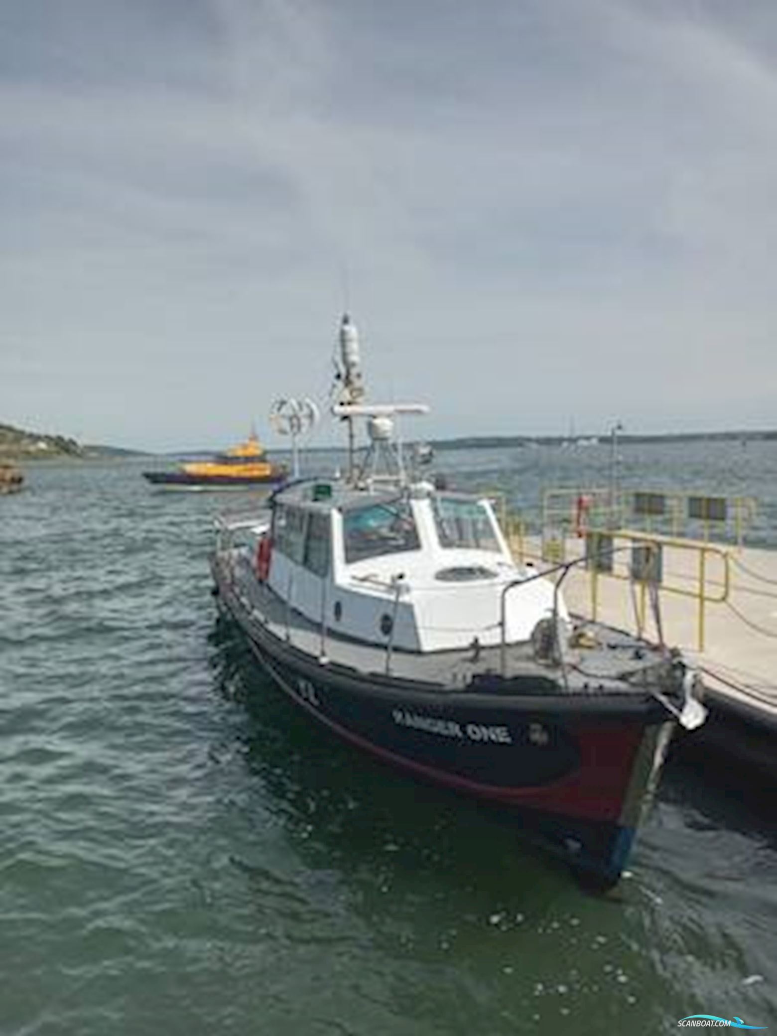 Nelson 40