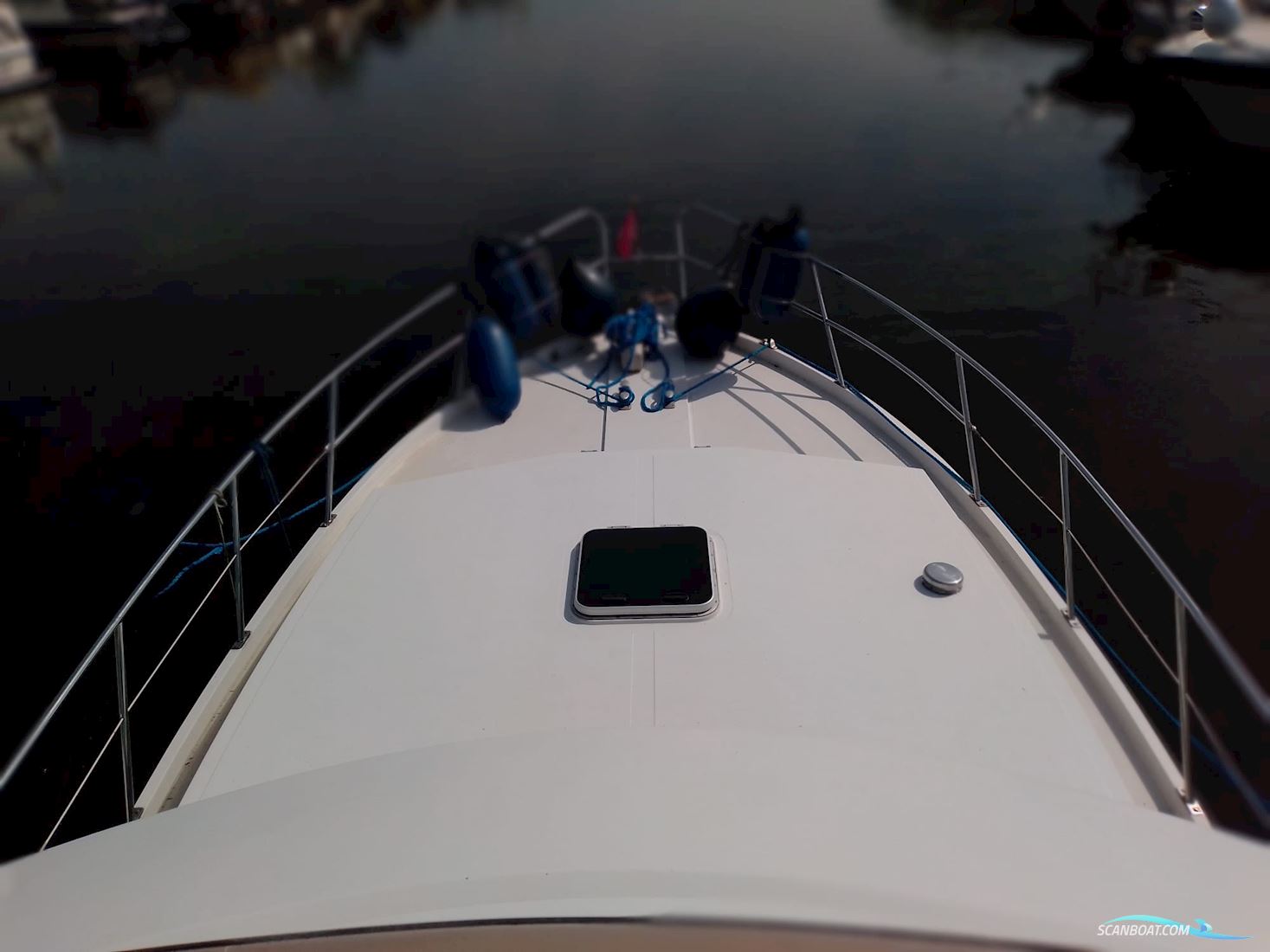 Neptunus 133